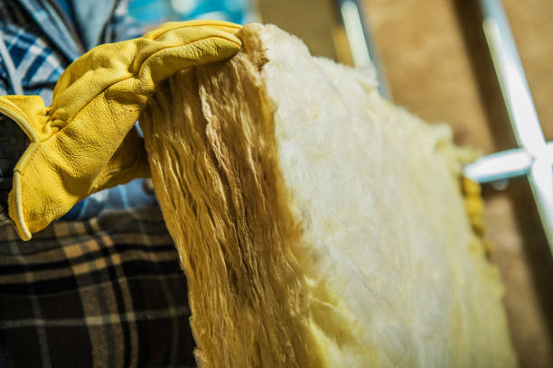 Best Geographic-Specific Insulation Services in Trezevant, TN